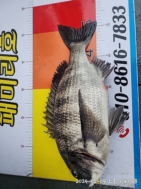 뉴패미리호의 조황일지 이미지 - 3