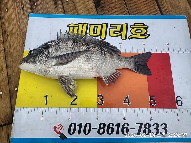 뉴패미리호의 조황일지 이미지 - 6