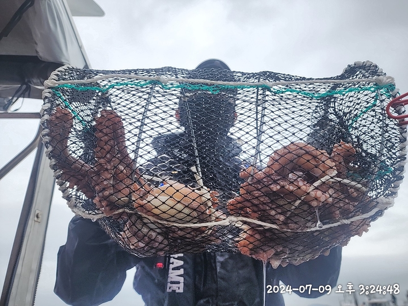 뉴패미리호의 조황일지 이미지 - 9