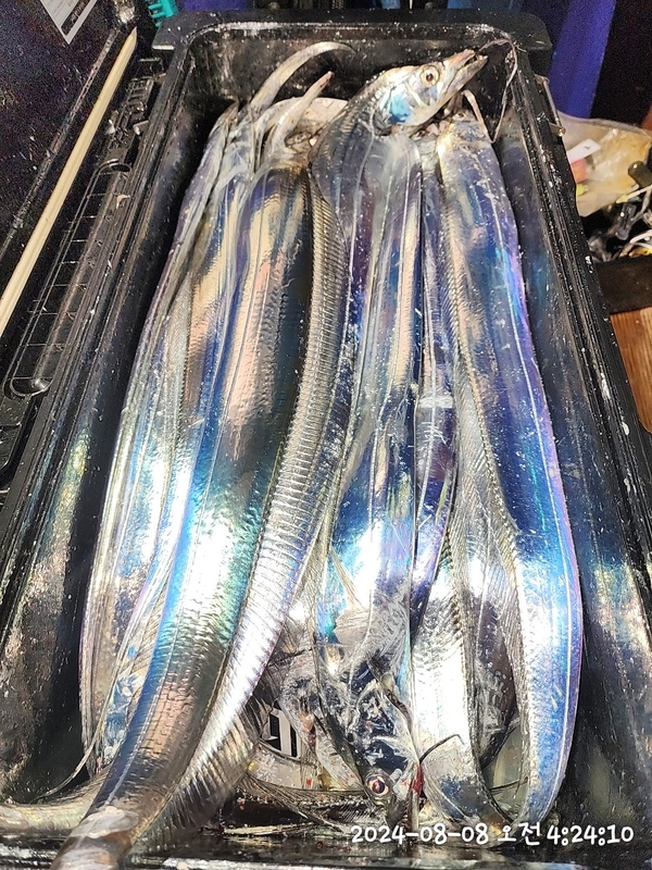 뉴패미리호의 조황일지 이미지 - 3