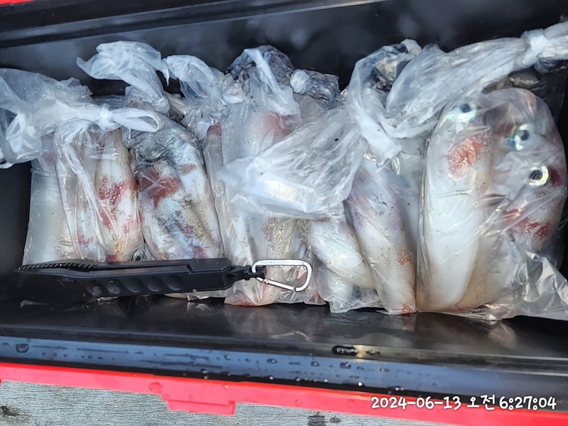 뉴패미리호의 조황일지 이미지 - 7