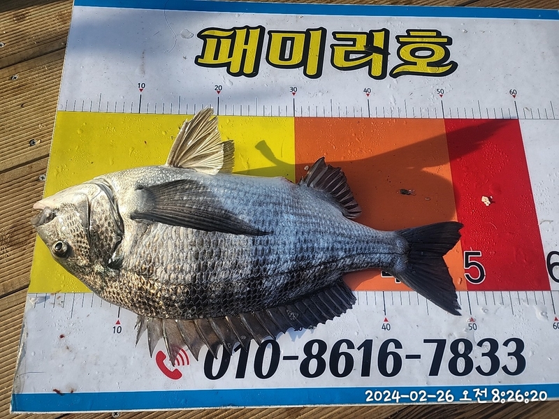 뉴패미리호의 조황일지 이미지 - 6