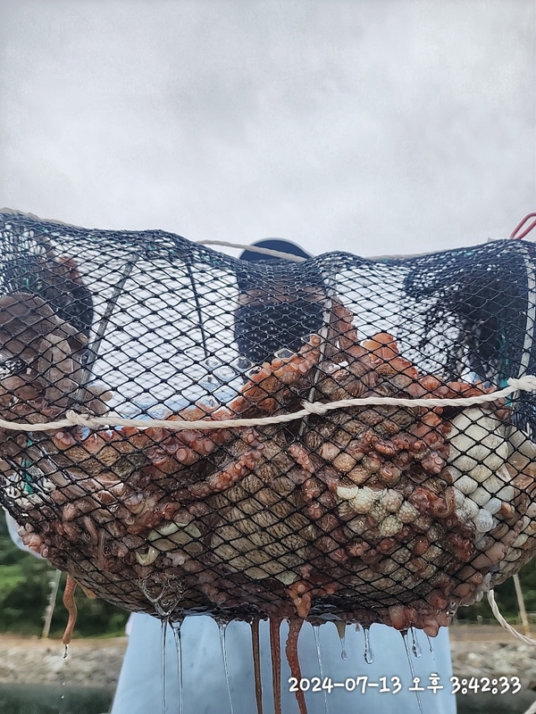 뉴패미리호의 조황일지 이미지 - 1