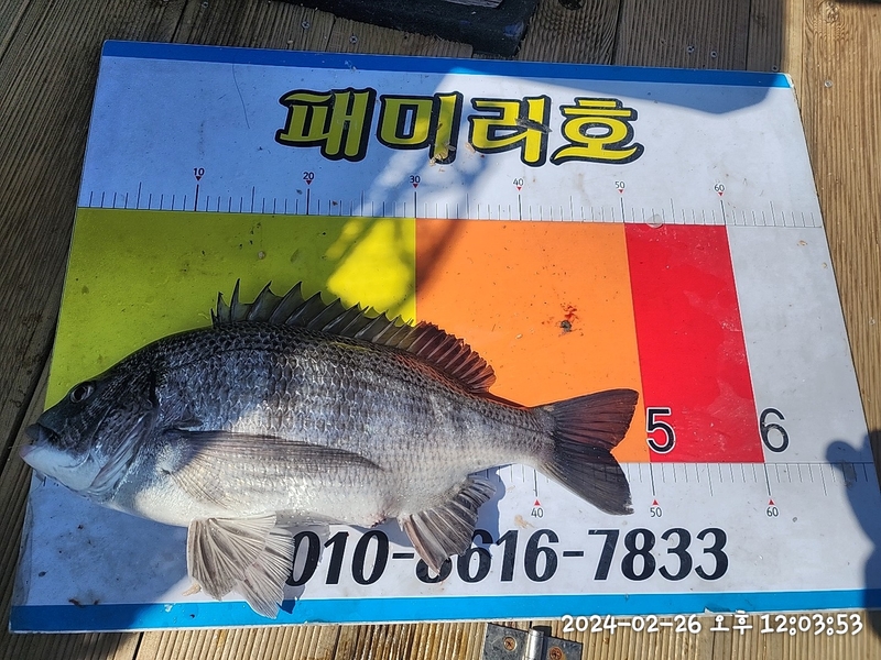 뉴패미리호의 조황일지 이미지 - 10