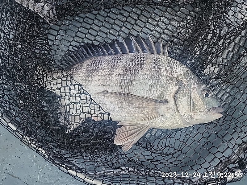 뉴패미리호의 조황일지 이미지 - 2