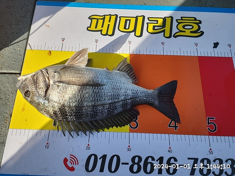 뉴패미리호의 조황일지 이미지 - 13