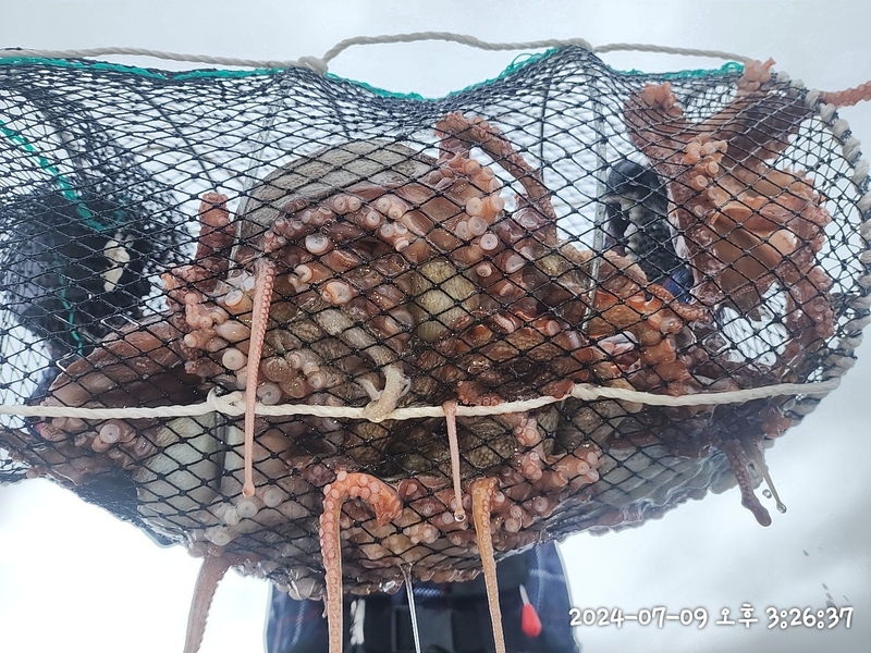 뉴패미리호의 조황일지 이미지 - 2