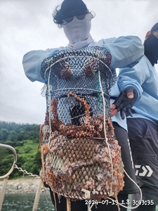 돌문어 퍽퍽퍽퍽 퍼담고 쪽쪽 빨아요  선상낚시로 잡은 물고기 조황