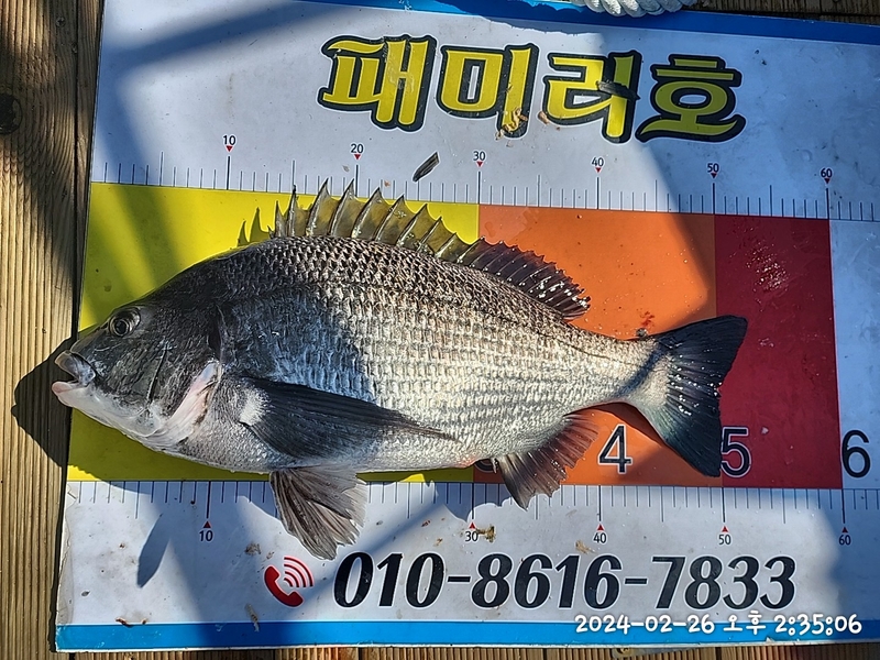 뉴패미리호의 조황일지 이미지 - 3