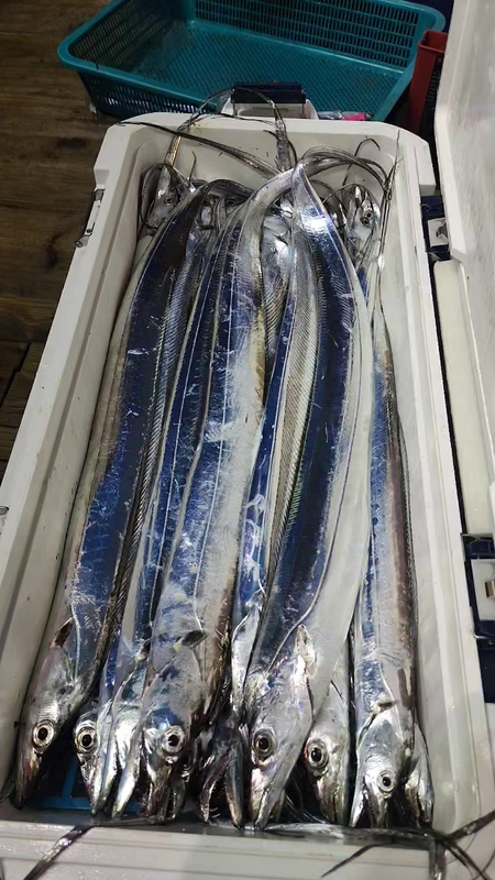 뉴패미리호의 조황일지 이미지 - 0