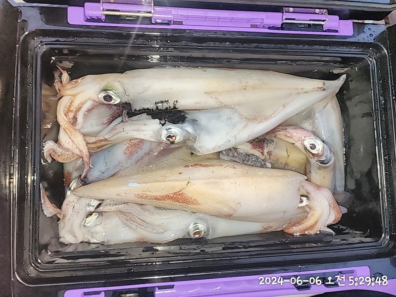 뉴패미리호의 조황일지 이미지 - 7