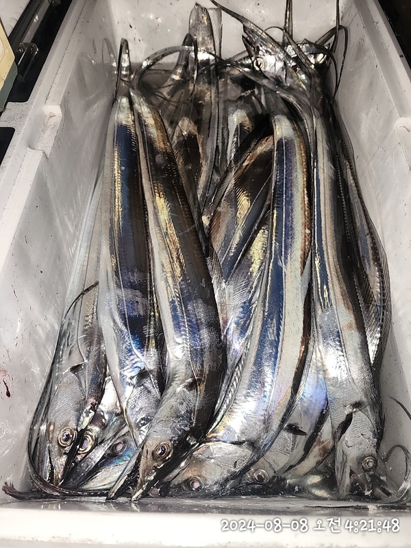 뉴패미리호의 조황일지 이미지 - 10