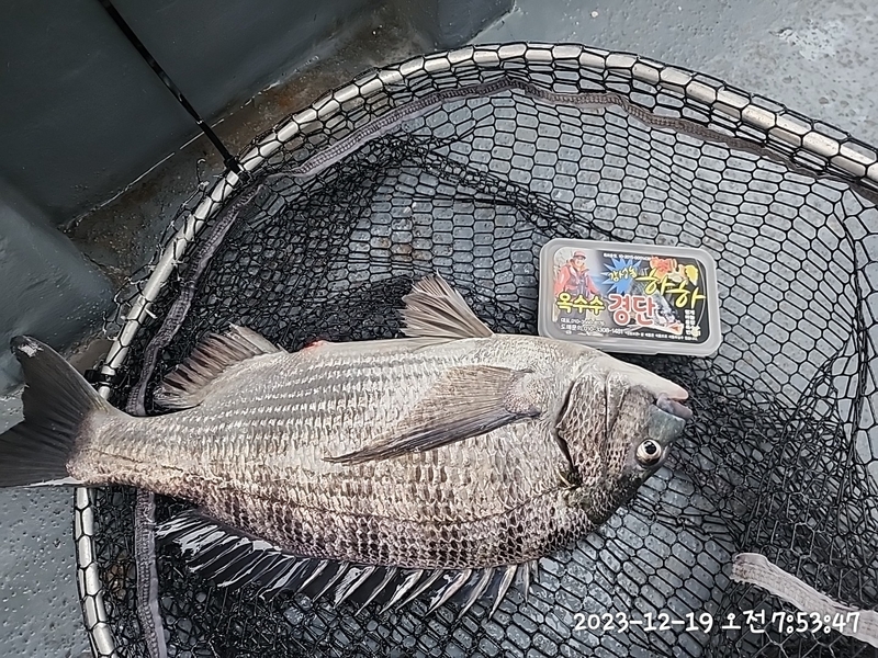 뉴패미리호의 조황일지 이미지 - 14