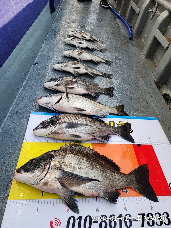 뉴패미리호의 조황일지 이미지 - 14