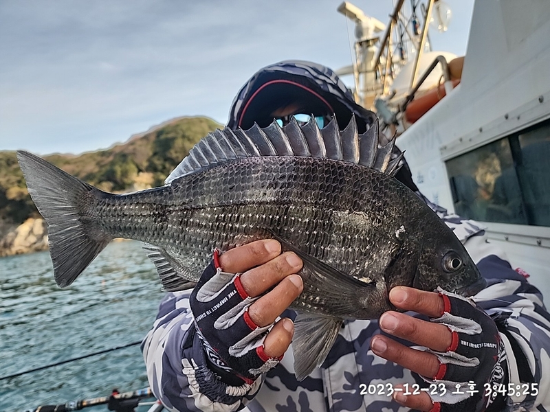 뉴패미리호의 조황일지 이미지 - 7