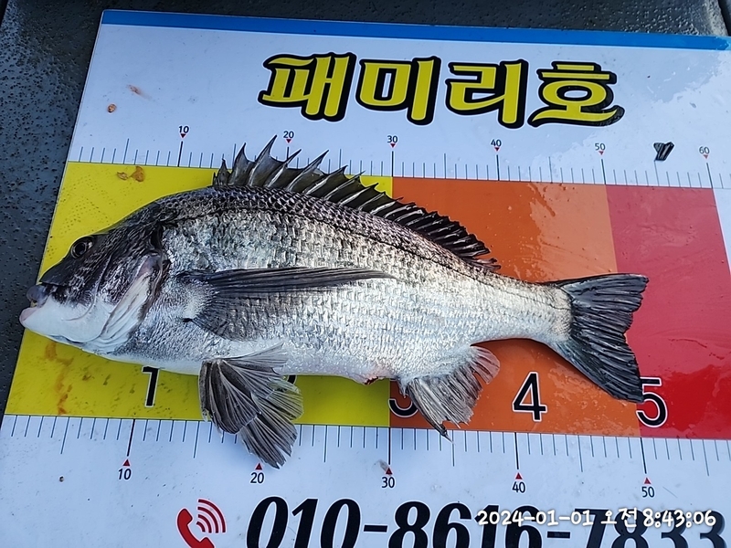 뉴패미리호의 조황일지 이미지 - 7