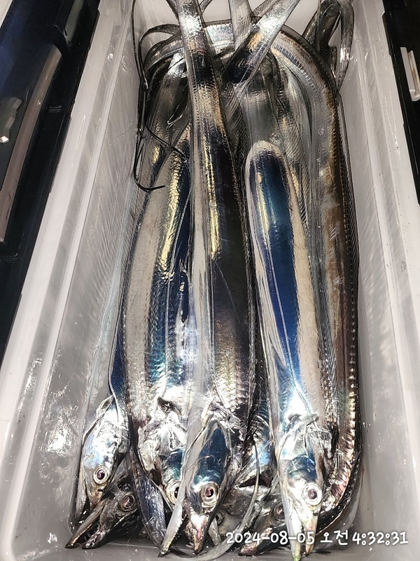 뉴패미리호의 조황일지 이미지 - 3