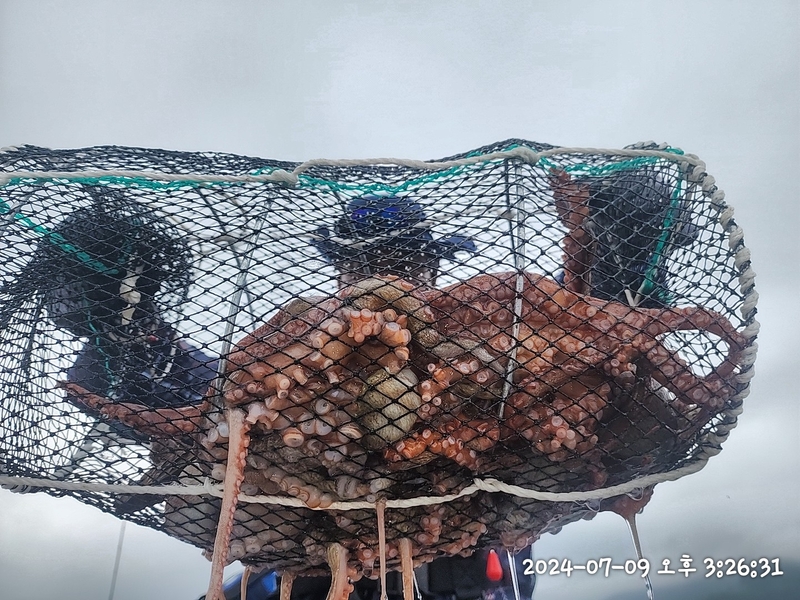 뉴패미리호의 조황일지 이미지 - 6