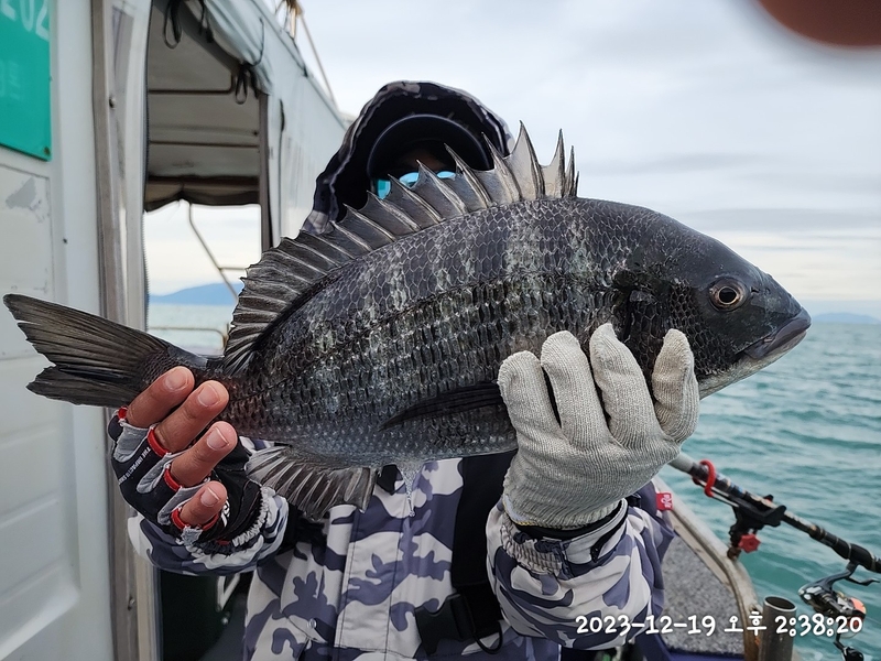 뉴패미리호의 조황일지 이미지 - 7