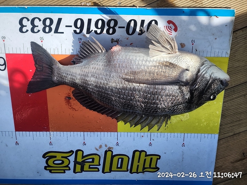 뉴패미리호의 조황일지 이미지 - 4