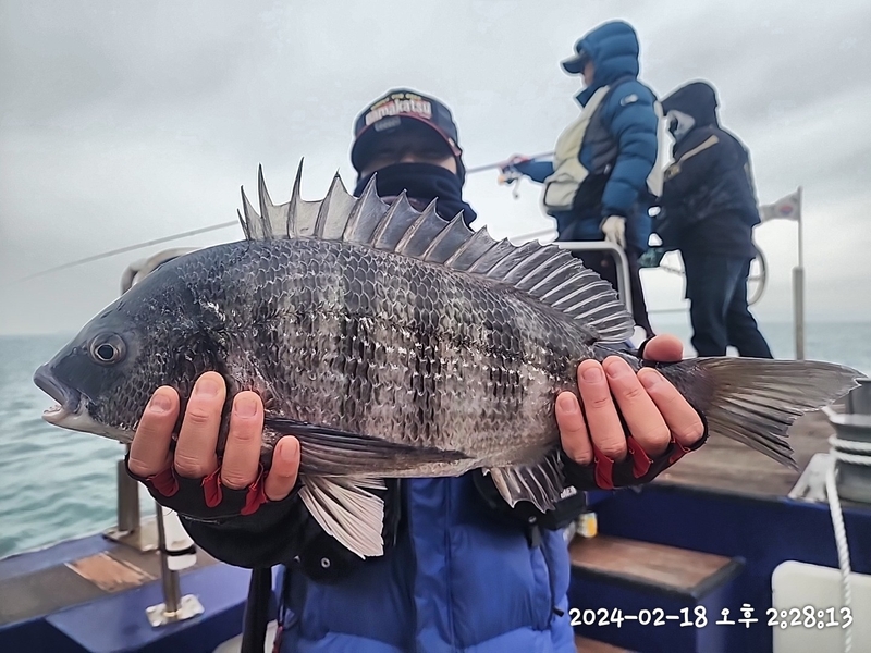 뉴패미리호의 조황일지 이미지 - 2