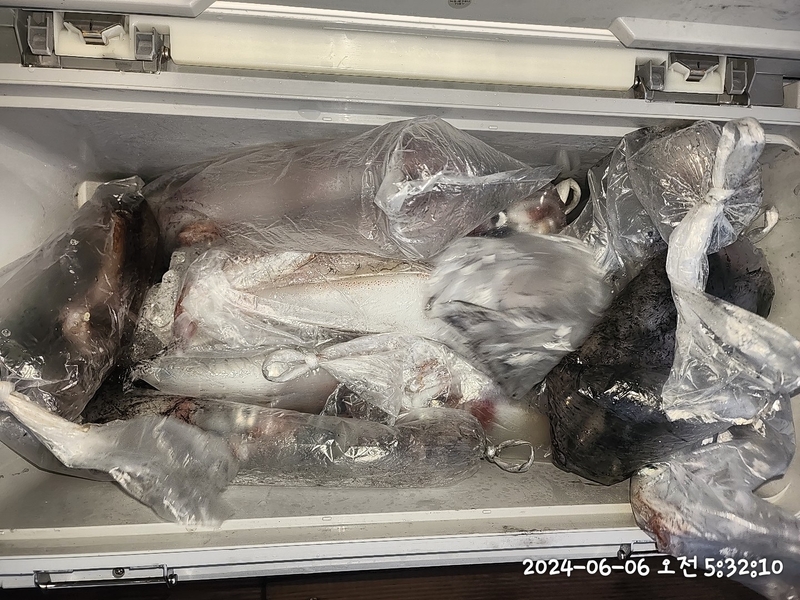 뉴패미리호의 조황일지 이미지 - 13