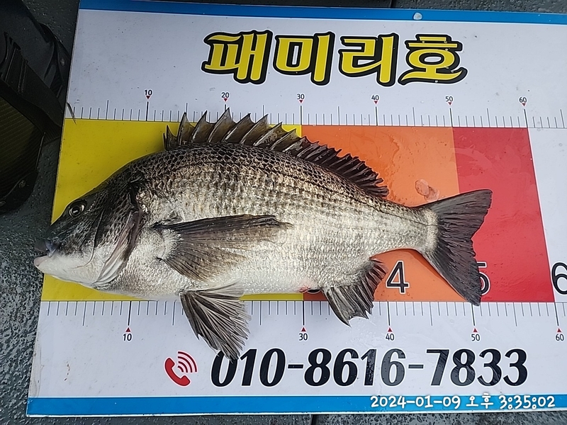 뉴패미리호의 조황일지 이미지 - 2