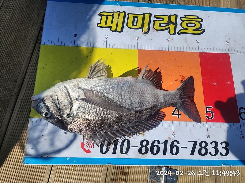 뉴패미리호의 조황일지 이미지 - 12