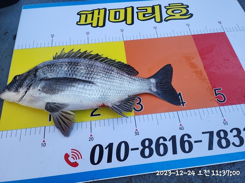 뉴패미리호의 조황일지 이미지 - 4