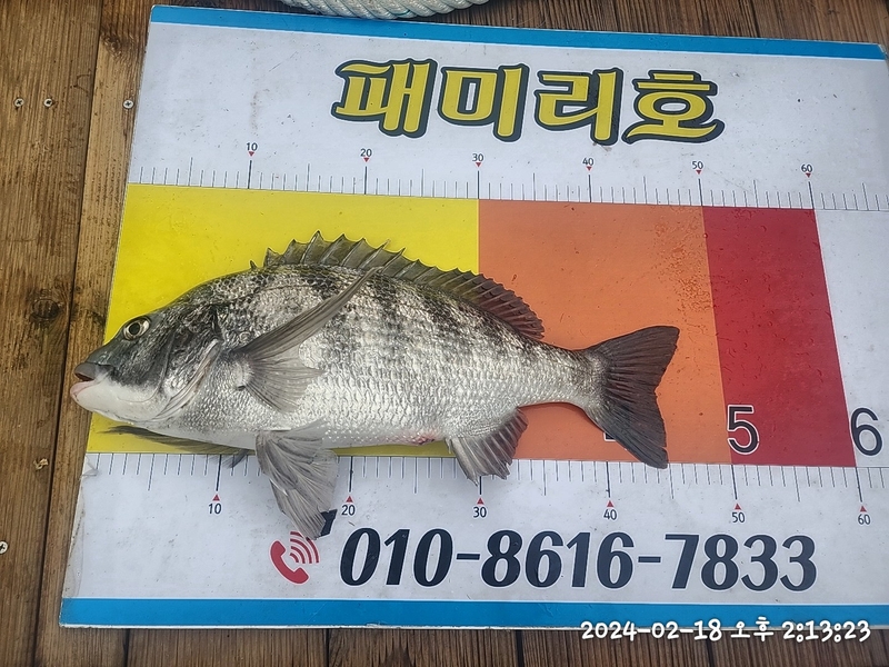 뉴패미리호의 조황일지 이미지 - 7