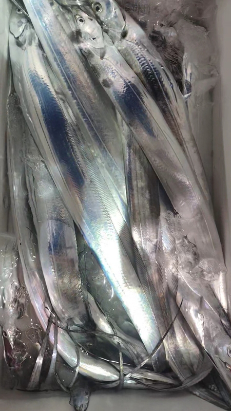 뉴패미리호의 조황일지 이미지 - 7