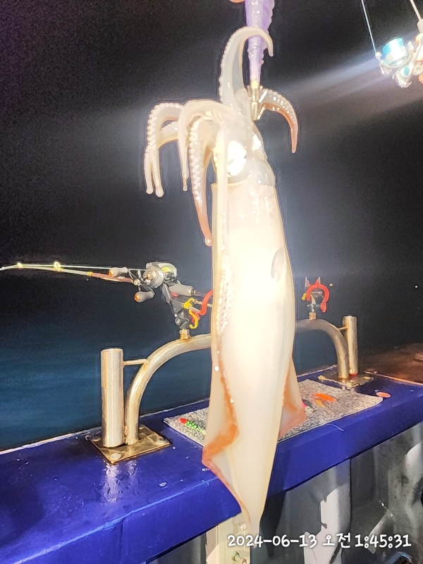 뉴패미리호의 조황일지 이미지 - 1