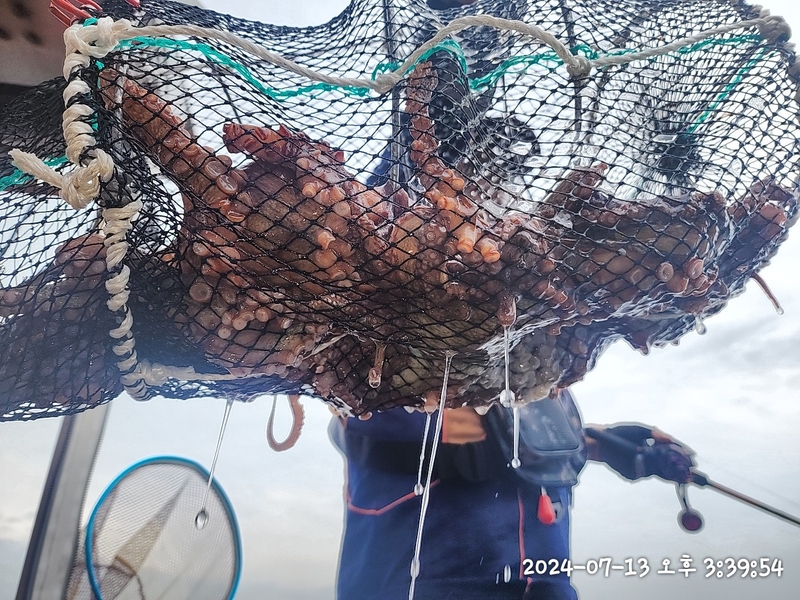 뉴패미리호의 조황일지 이미지 - 6