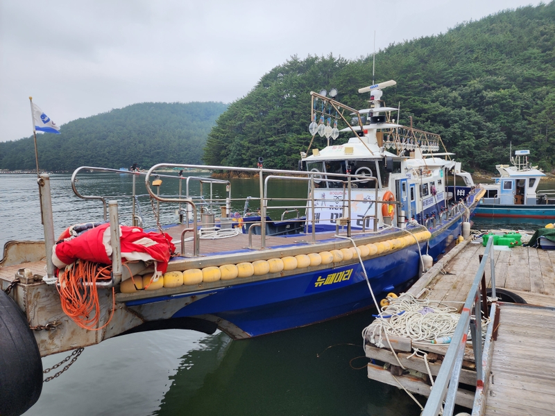 해당 선사를 대표하는 이미지