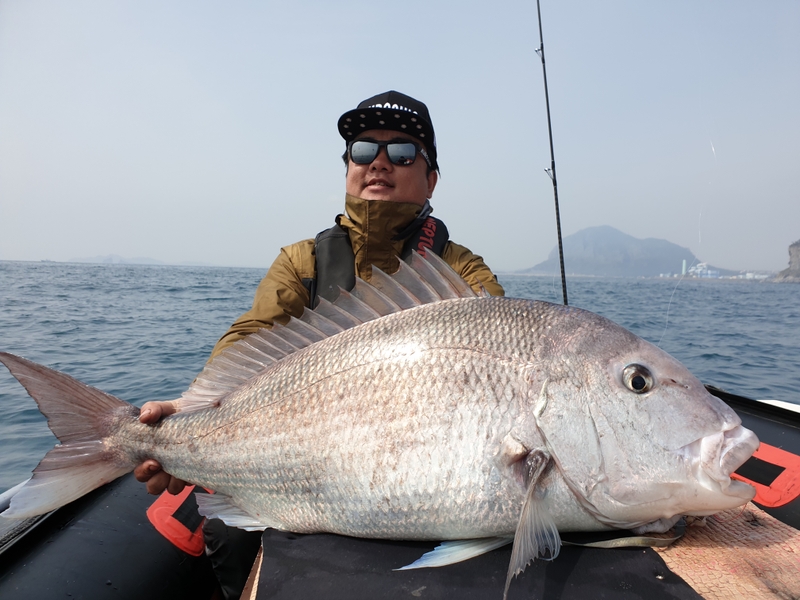 해당 선사를 대표하는 이미지
