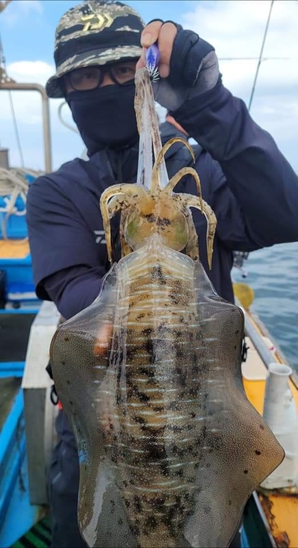 해당 선사를 대표하는 이미지