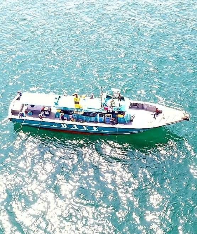 해당 선사를 대표하는 이미지