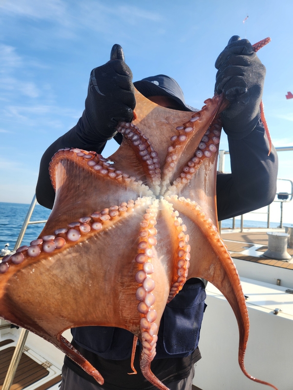 씨엔조이호의 조황일지 이미지 - 2