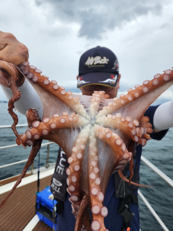 씨엔조이호의 조황일지 이미지 - 6