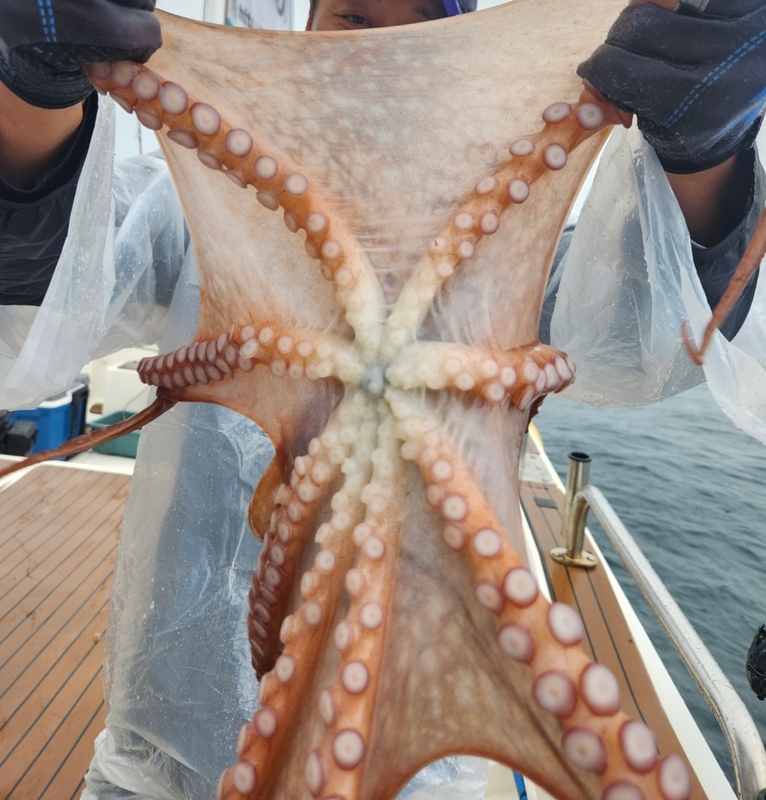 씨엔조이호의 조황일지 이미지 - 8