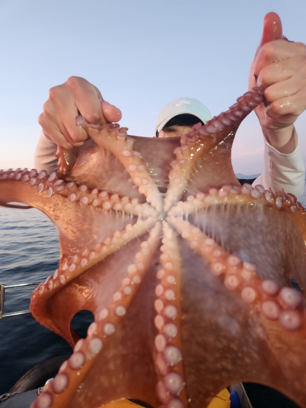 씨엔조이호의 조황일지 이미지 - 12