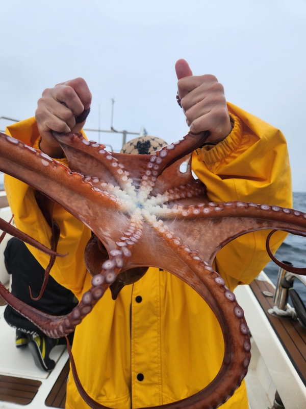 씨엔조이호의 조황일지 이미지 - 2