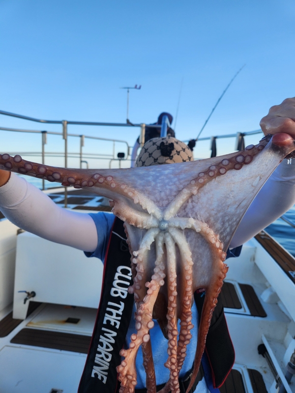 씨엔조이호의 조황일지 이미지 - 4