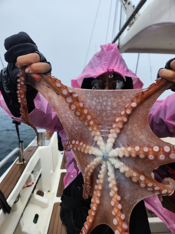 씨엔조이호의 조황일지 이미지 - 10