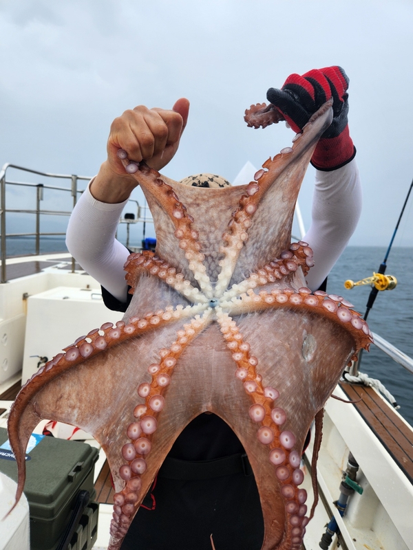 씨엔조이호의 조황일지 이미지 - 7