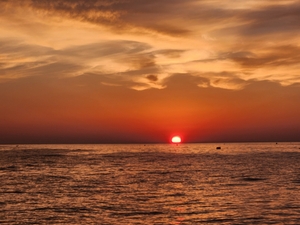 7월 20일 피문어 선상낚시로 잡은 물고기 조황