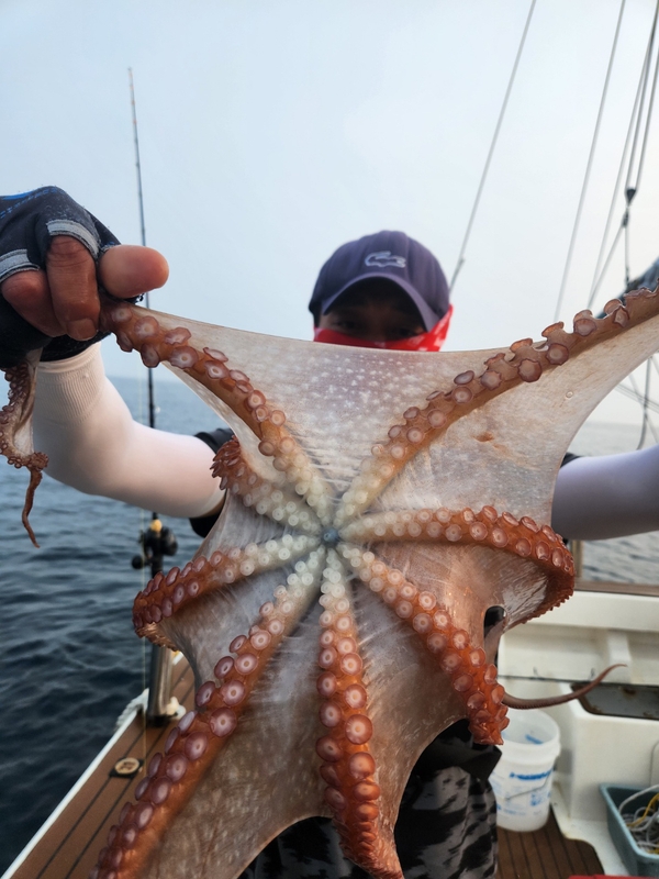 씨엔조이호의 조황일지 이미지 - 12