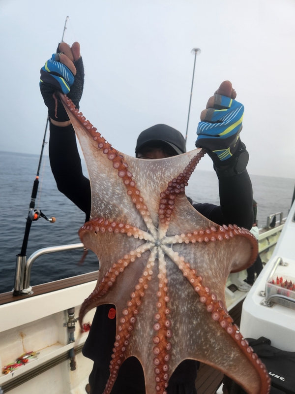 씨엔조이호의 조황일지 이미지 - 16