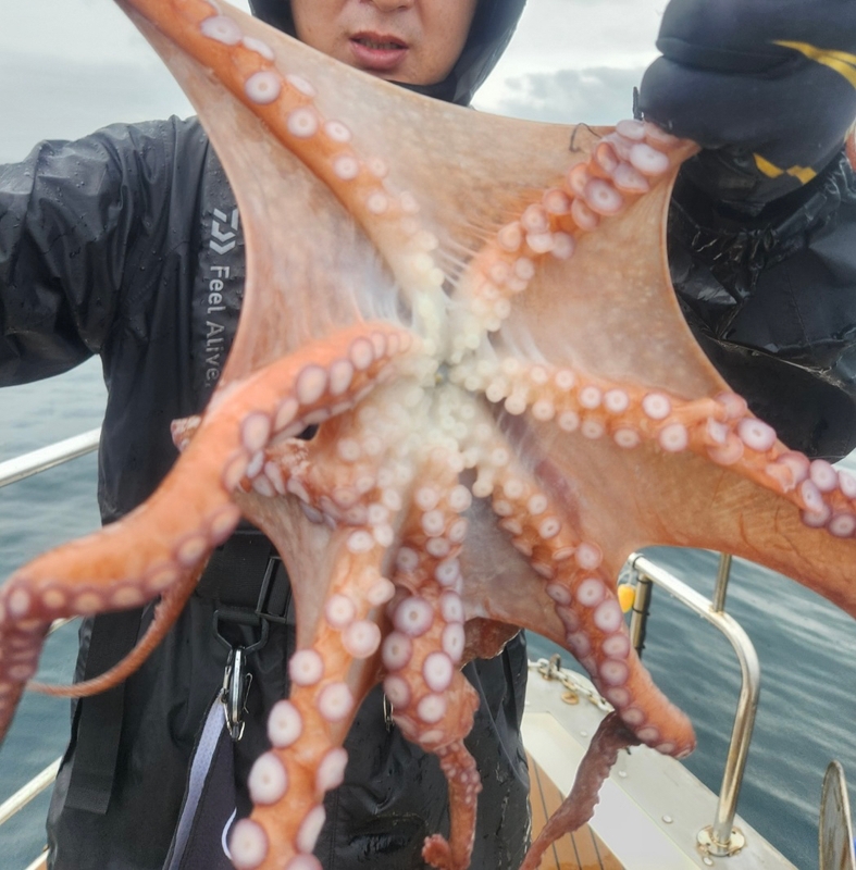 씨엔조이호의 조황일지 이미지 - 9