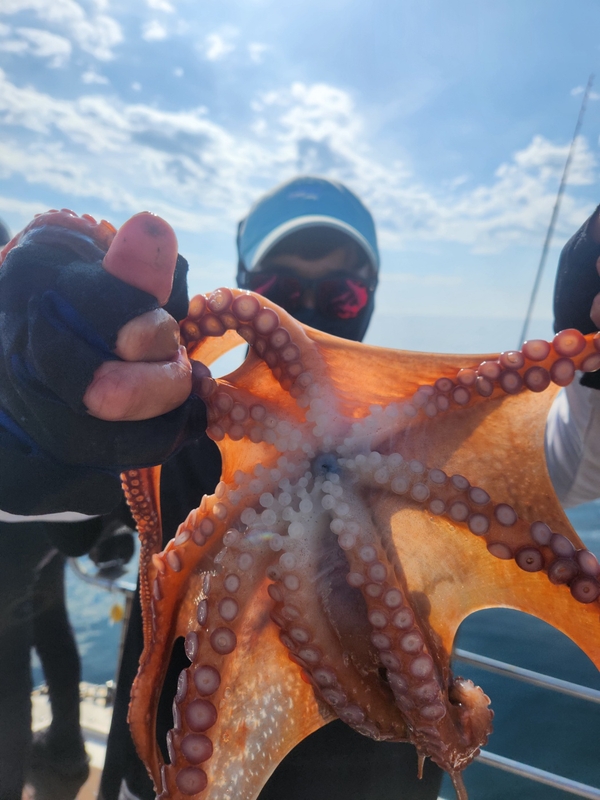 씨엔조이호의 조황일지 이미지 - 15